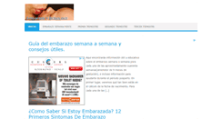 Desktop Screenshot of embarazoybebes.net
